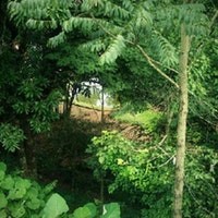 Bosque Municipal