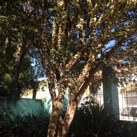 Bosque Municipal