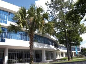 Biblioteca Pública Estadual de Minas Gerais - Imagem 1