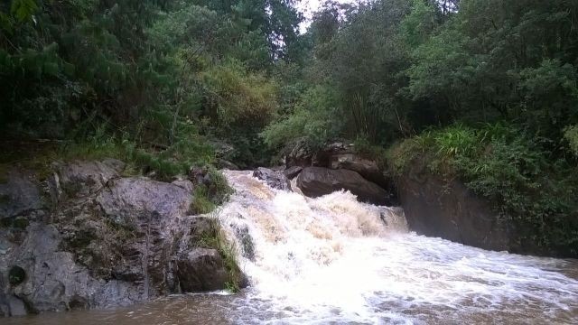 RIO JAGUARY