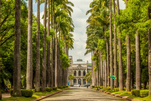 Palácio da Liberdade - Imagem 3