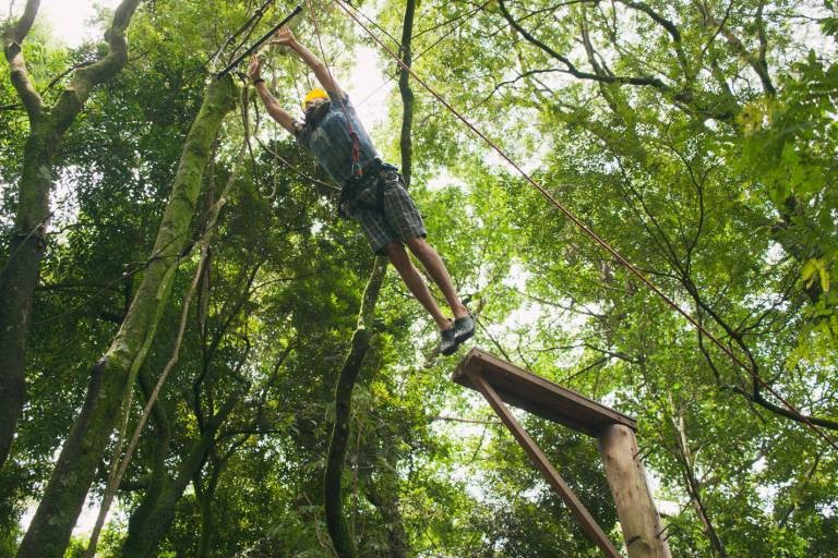 Verde Folhas Espaço de Aventuras