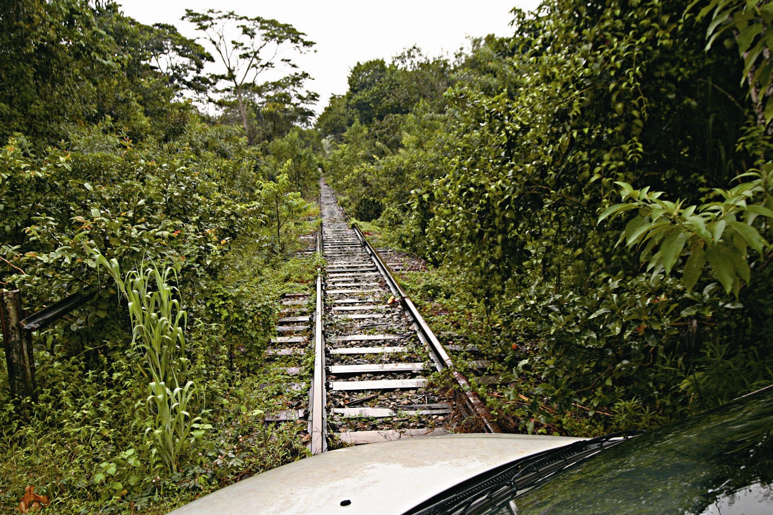 Estrada Real