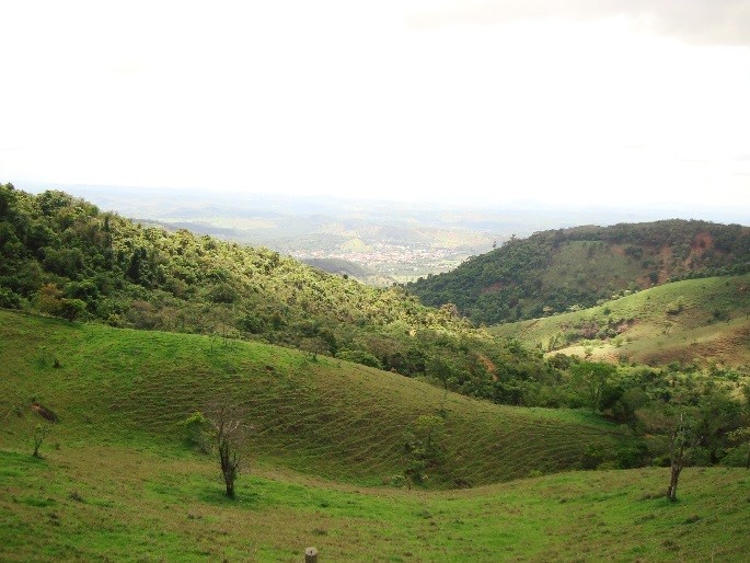 Alto do Galo