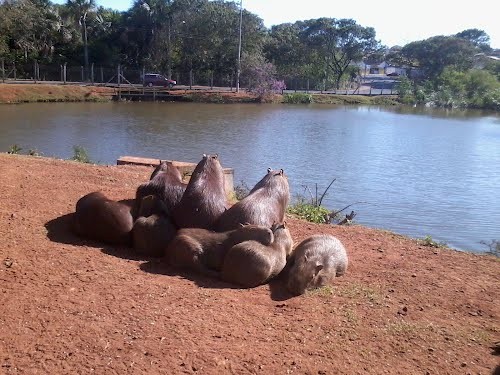 Parque Municipal Santa Luzia