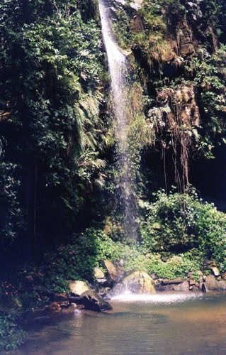 Gruta