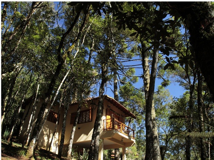 Pousada Chalé da Floresta
