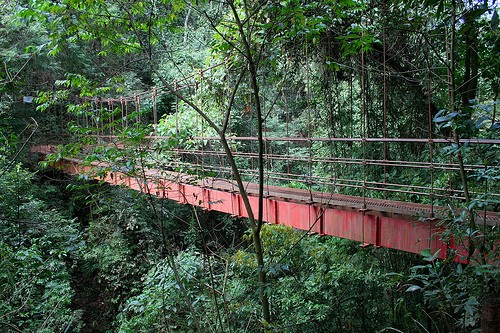 Parque Natural Municipal Rego Dos Carrapatos