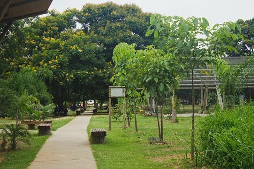 Parque Municipal 