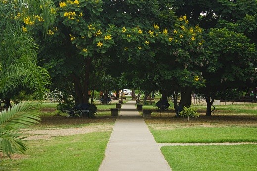 Parque Municipal 