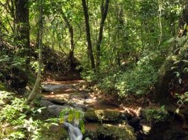 Parque Ecológico Roberto Burle Marx