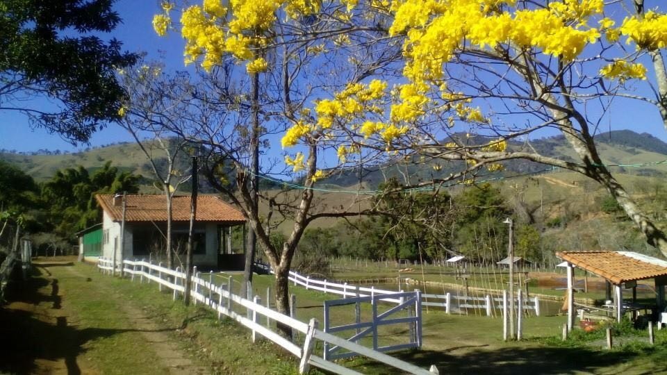 Pesqueiro São Lucas 