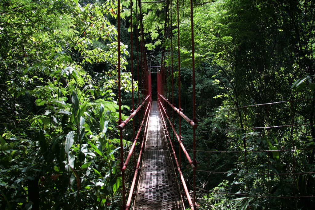 Rego dos Carrapatos