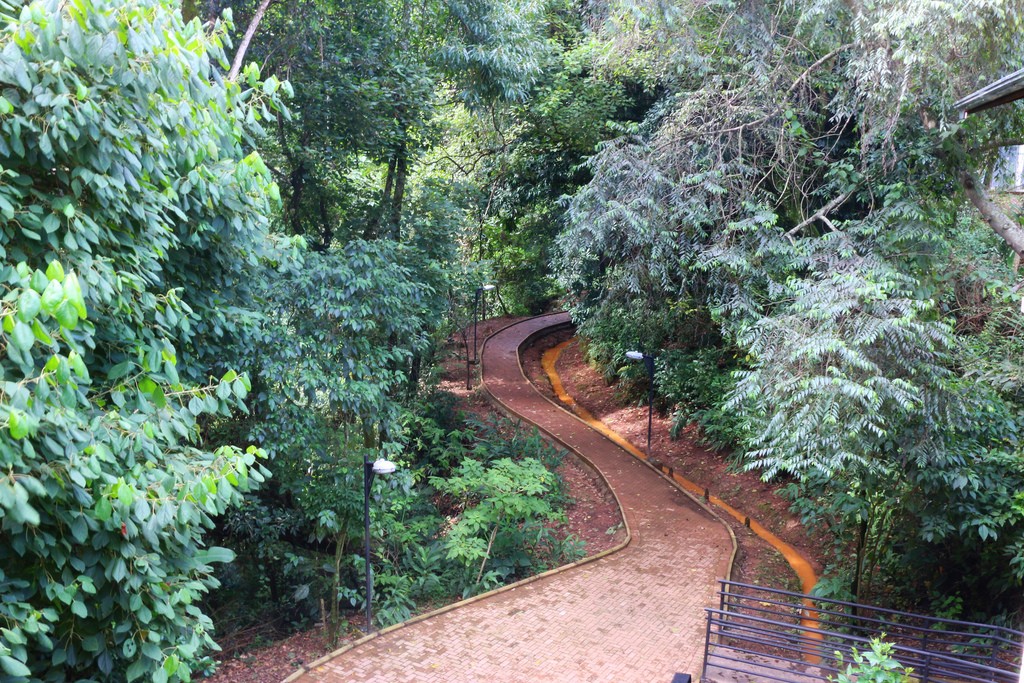 Rego dos Carrapatos