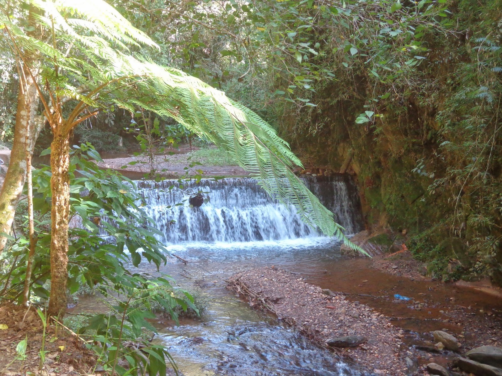 Rego dos Carrapatos
