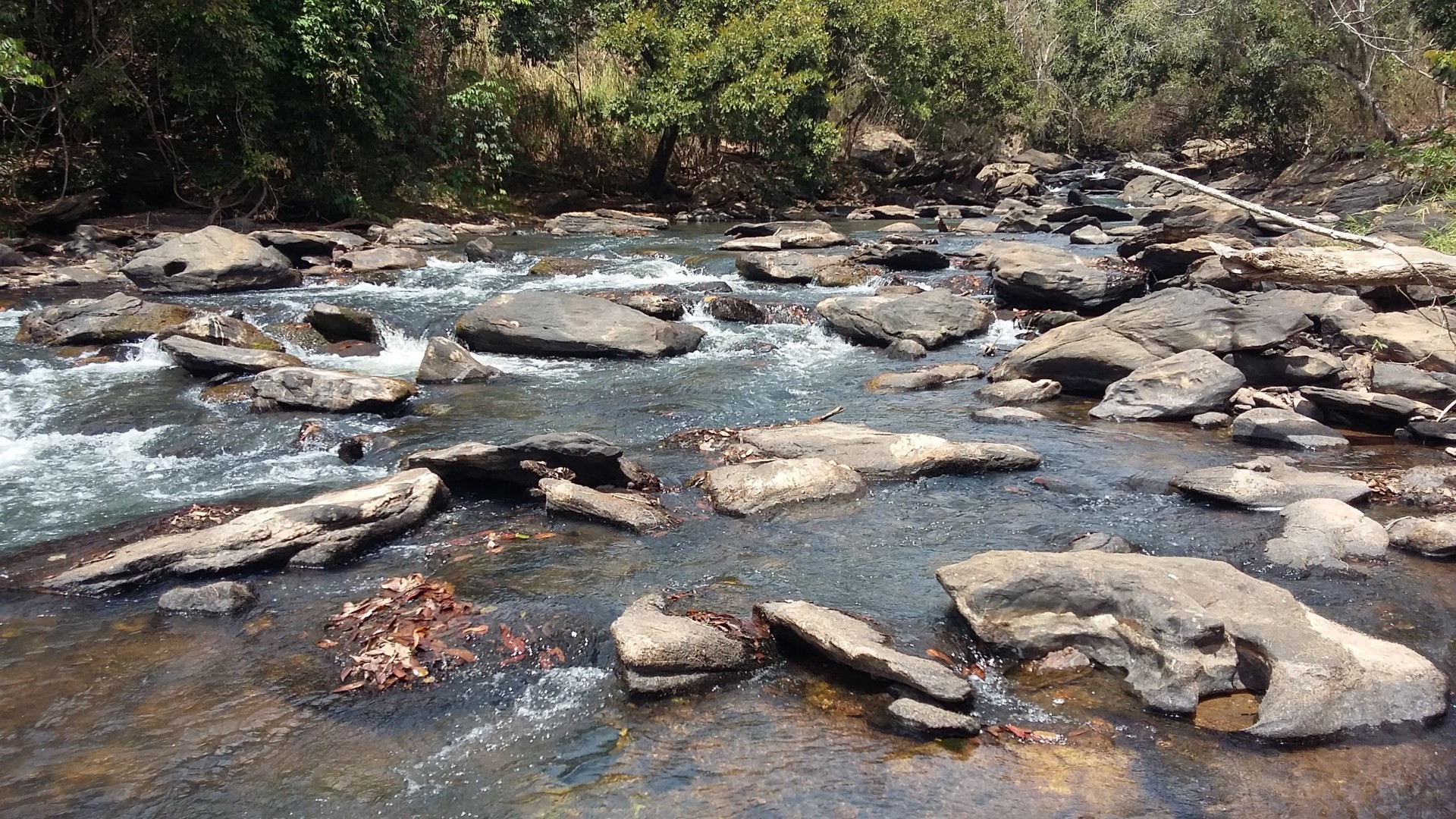 Areião do Zé Camilo