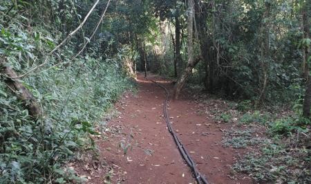 Parque da Serrinha