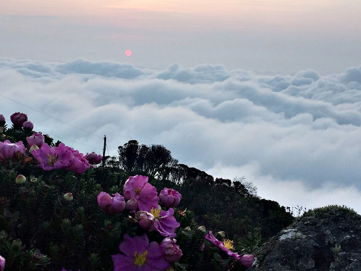 Pico do Itambé