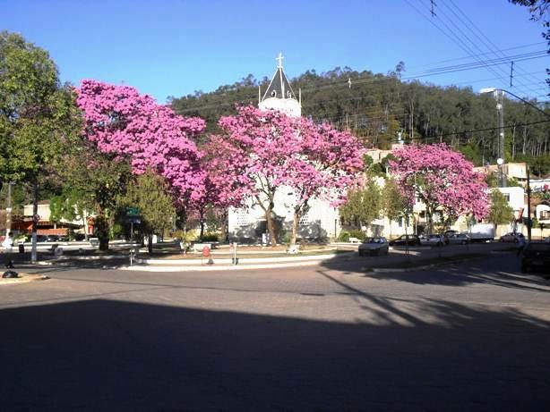  Praça da Matriz Coronel Calhau