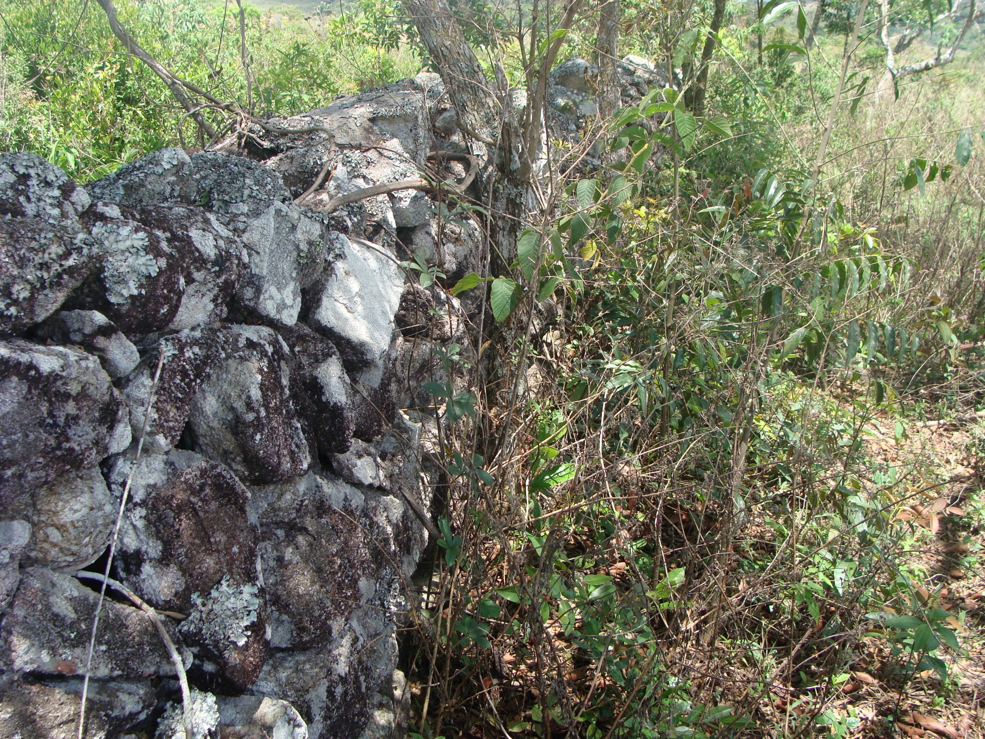 Muro de Pedras