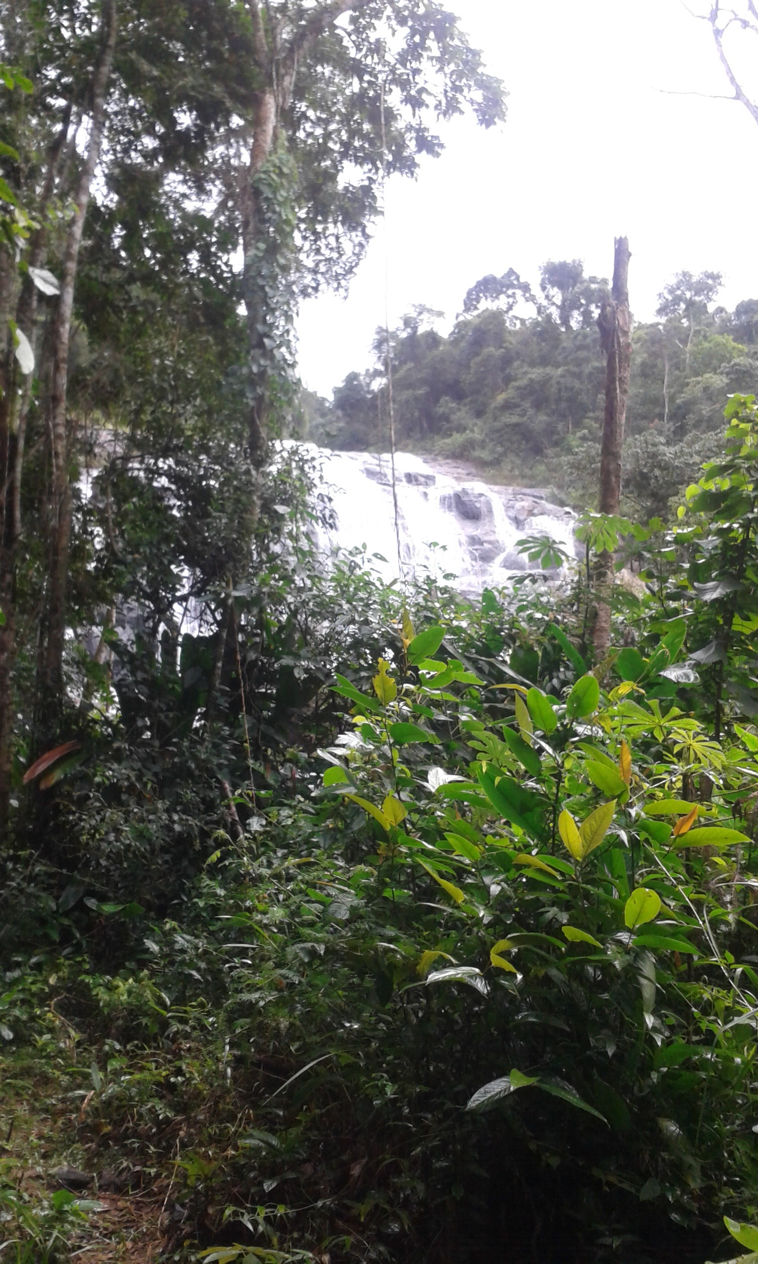 Cachoeira das Andorinhas