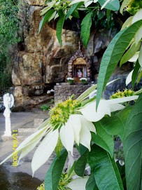 Água Santa