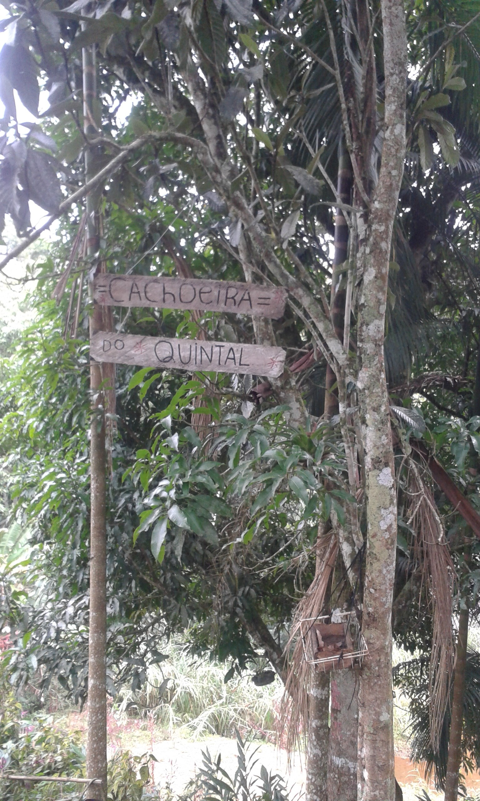 Cachoeira do Quintal