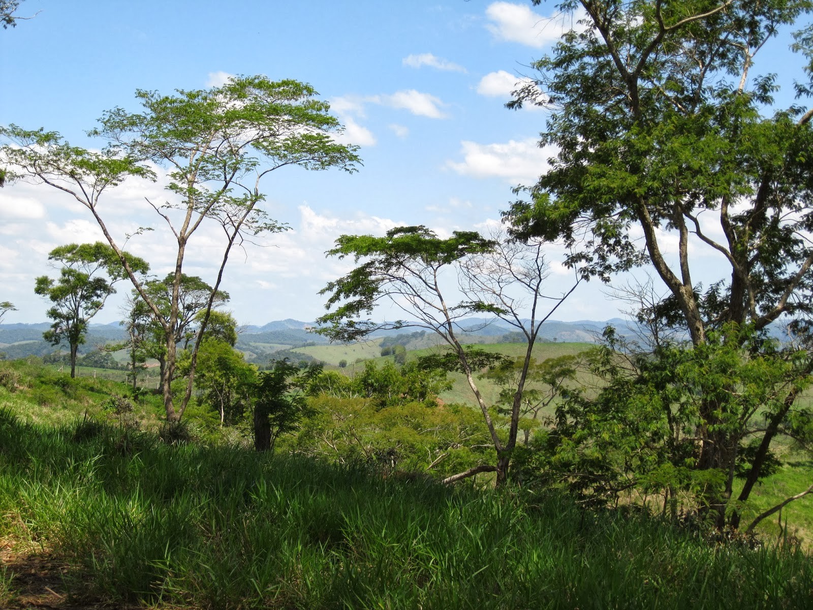 Horto Florestal