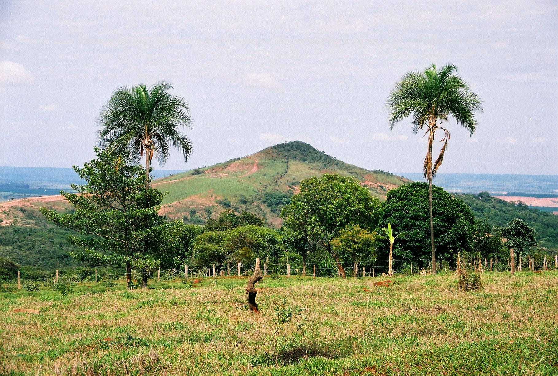 Morro Pião