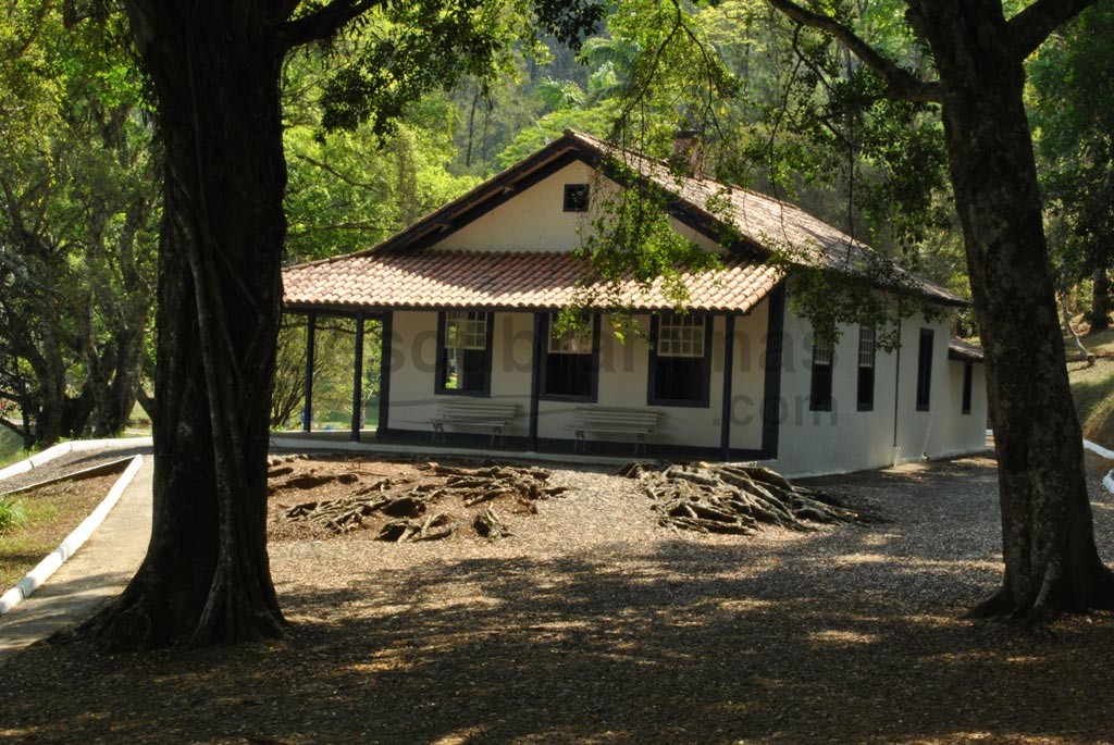 Casa de Cabangu