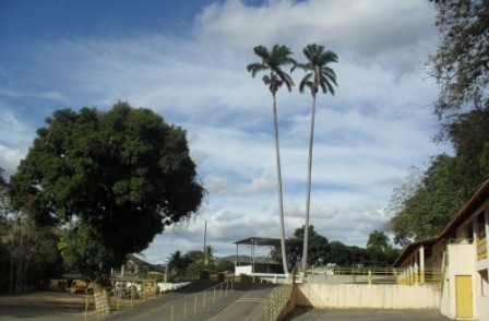 Parque das Palmeiras