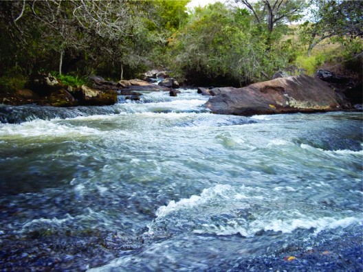 Cachoeira dos Nogueiras