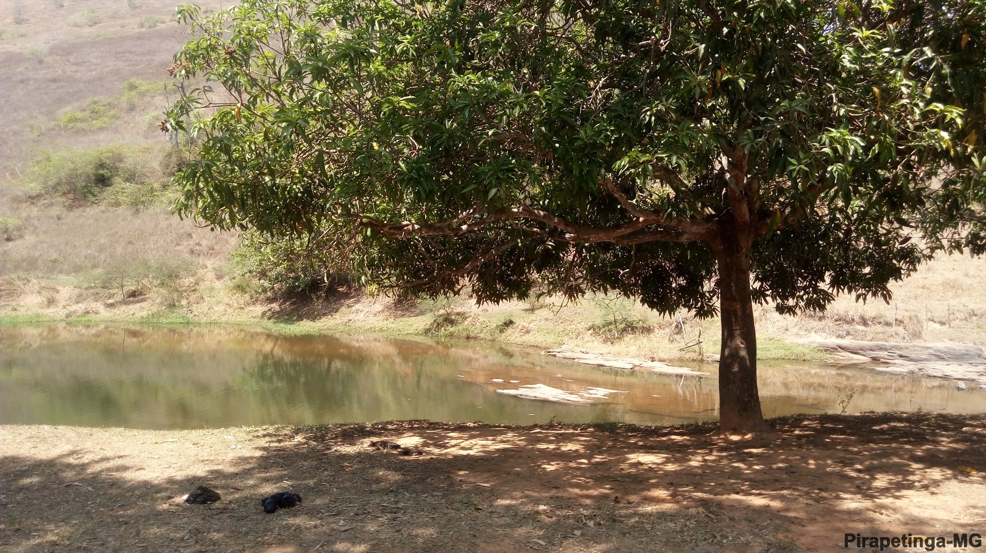 Prainha