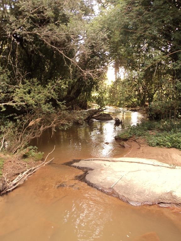 Cachoeira da Ponte Alta 1