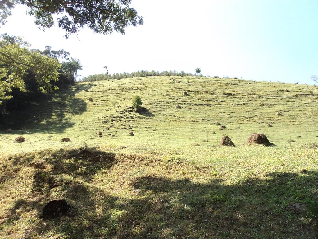 Cachoeira Pilão de Pedra