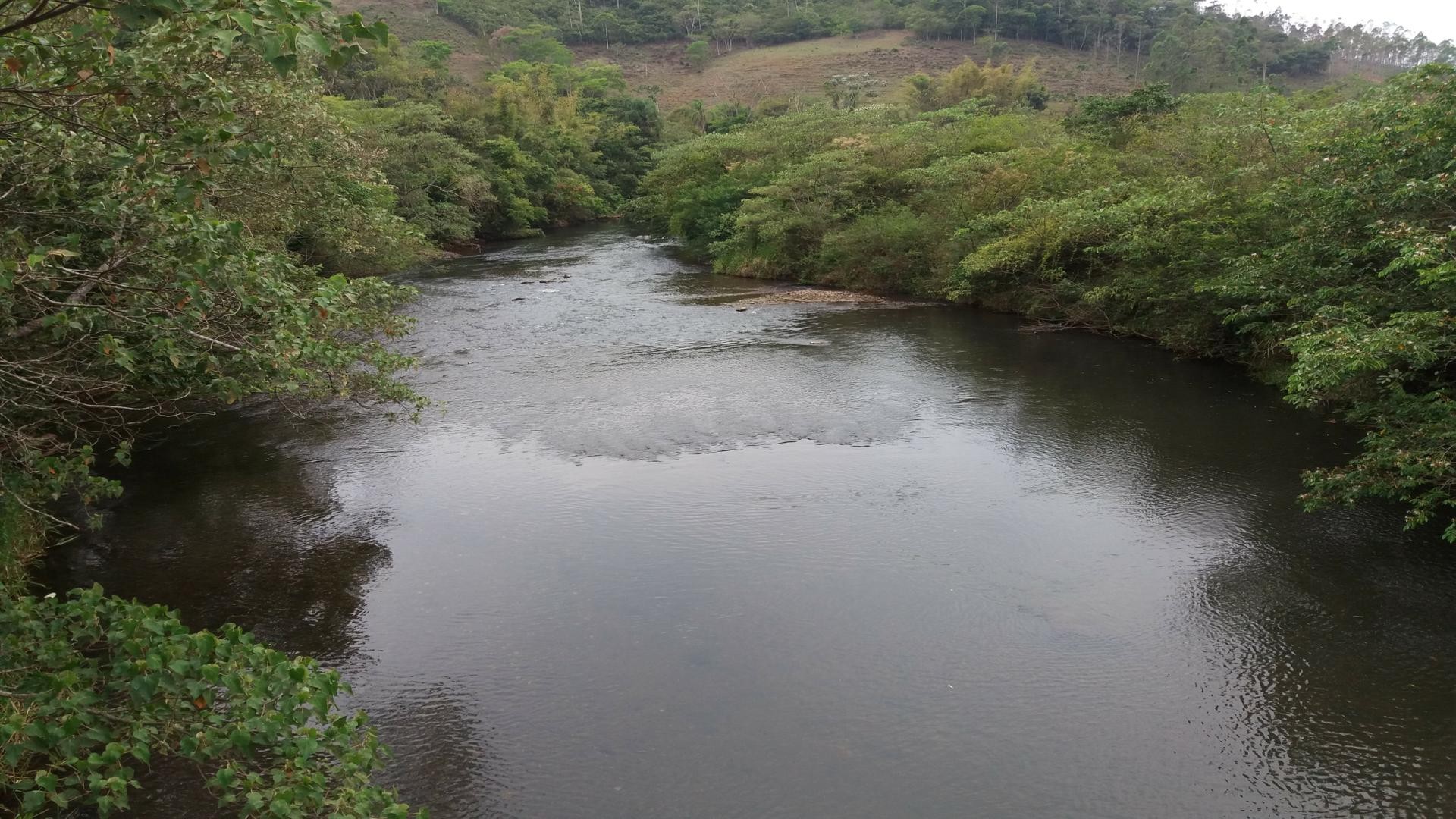 Passarela do Rio Piranga