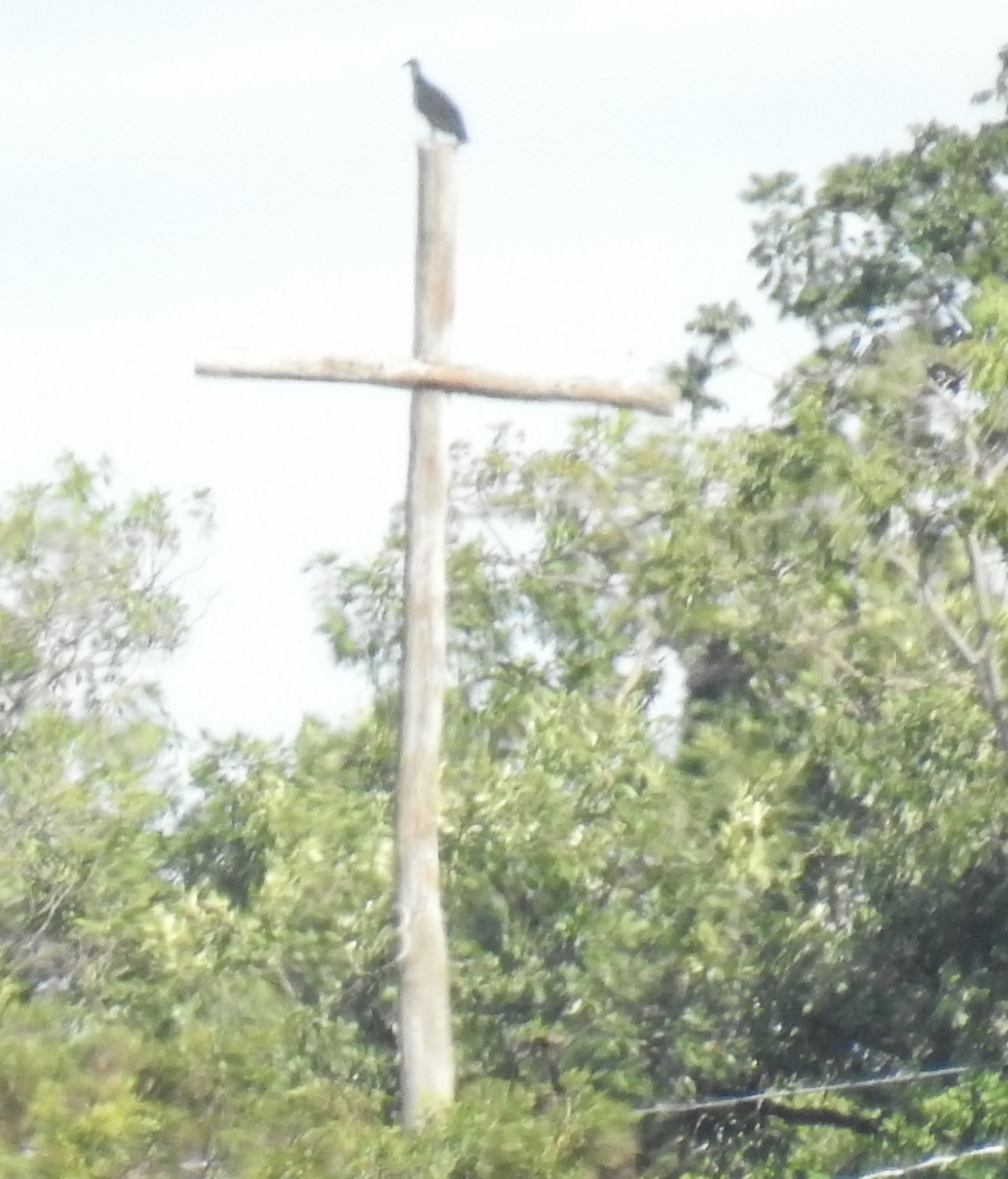 CRUZ DO MONTE