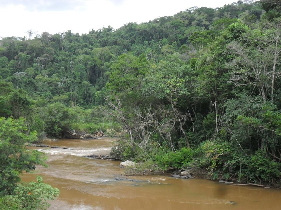 Rio Piranga 