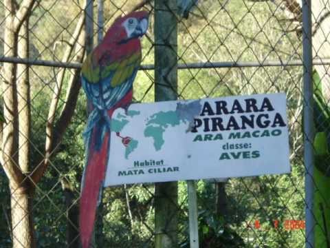 Zoológico da Usipa 