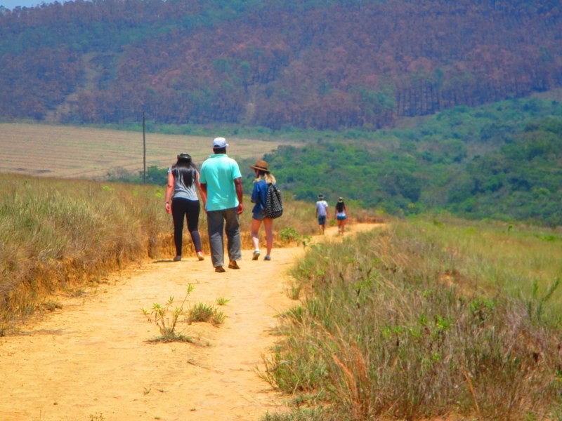 Cachoeira dos Sonhos / Zé Darci