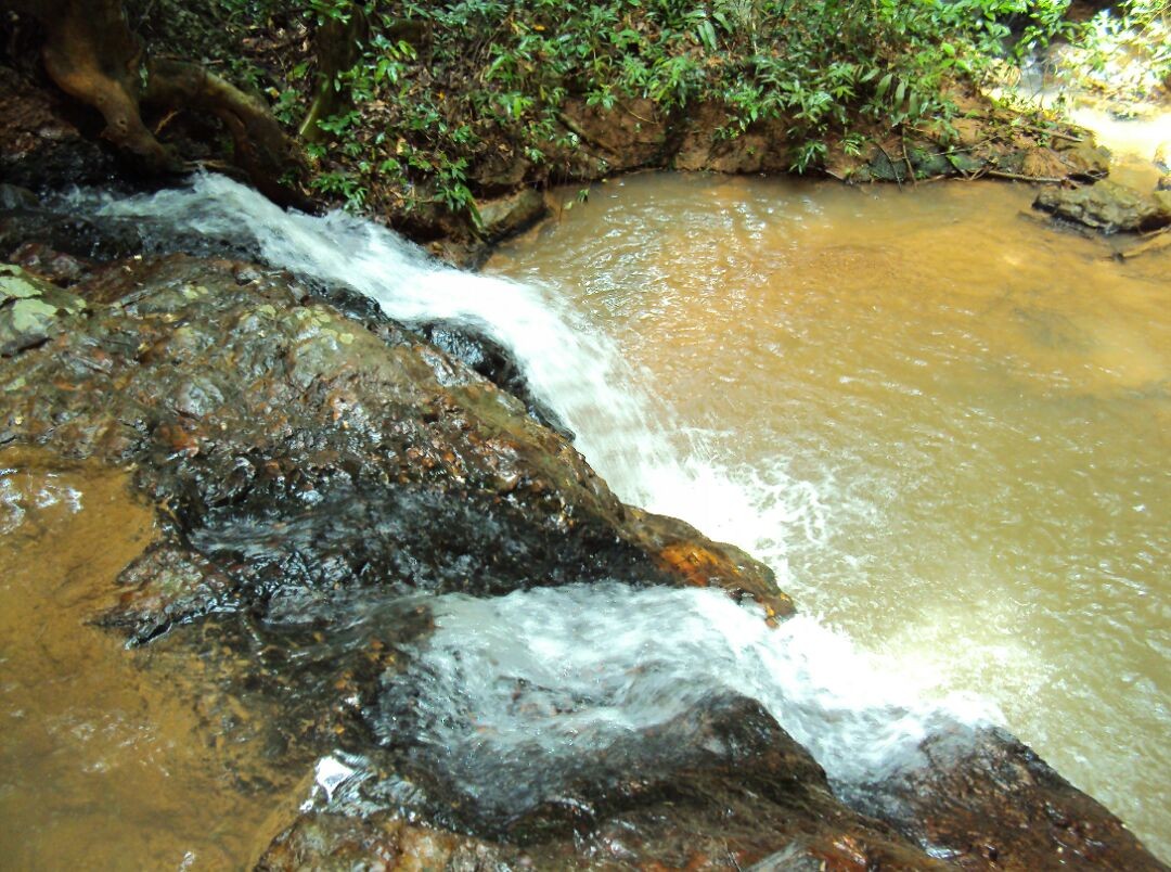 Cachoeira Samambaia 