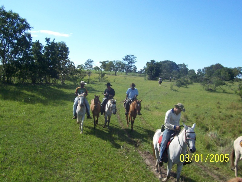Cia de Andar