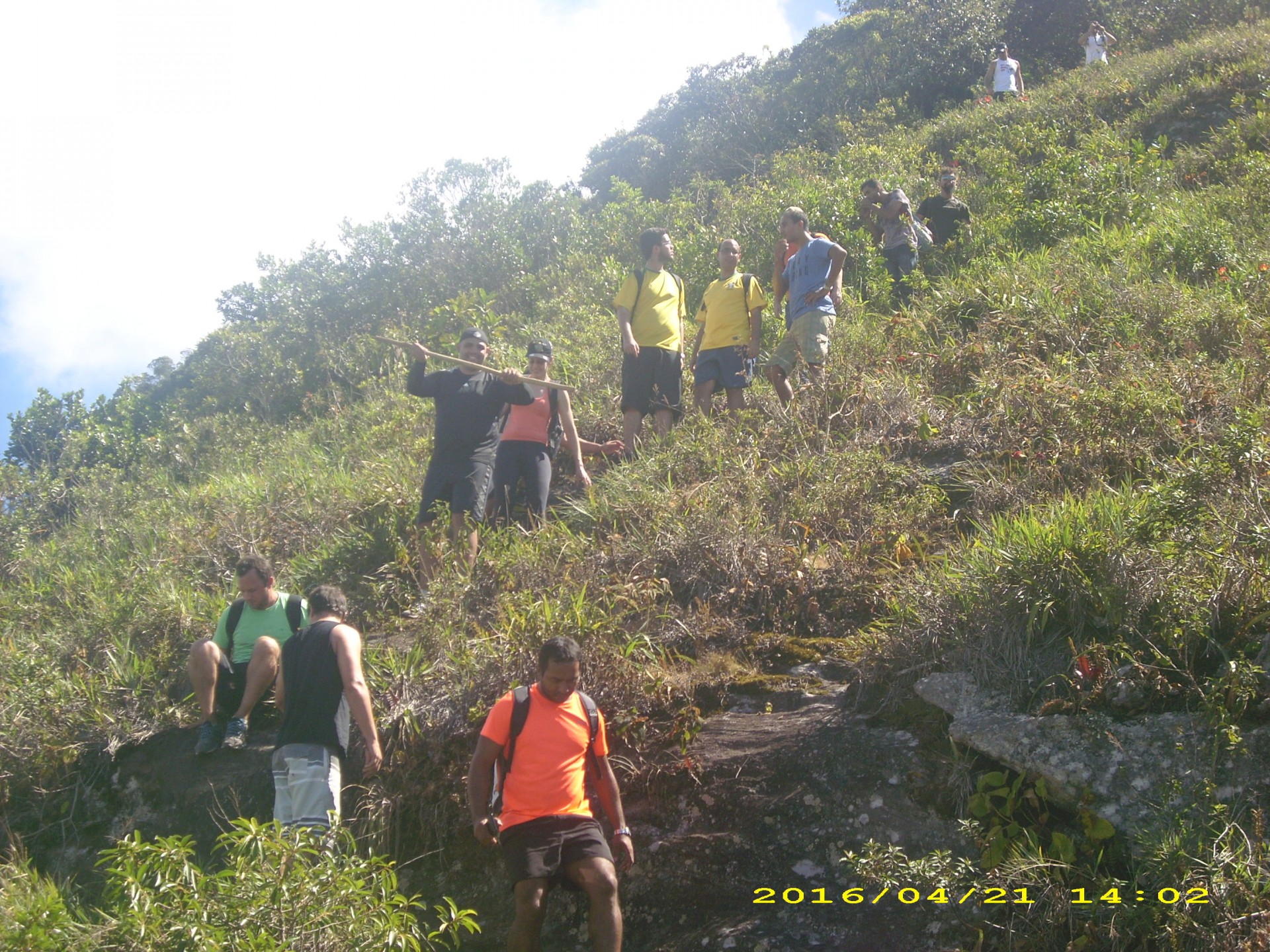 RPPN Alto Da Boa Vista - Imagem 4