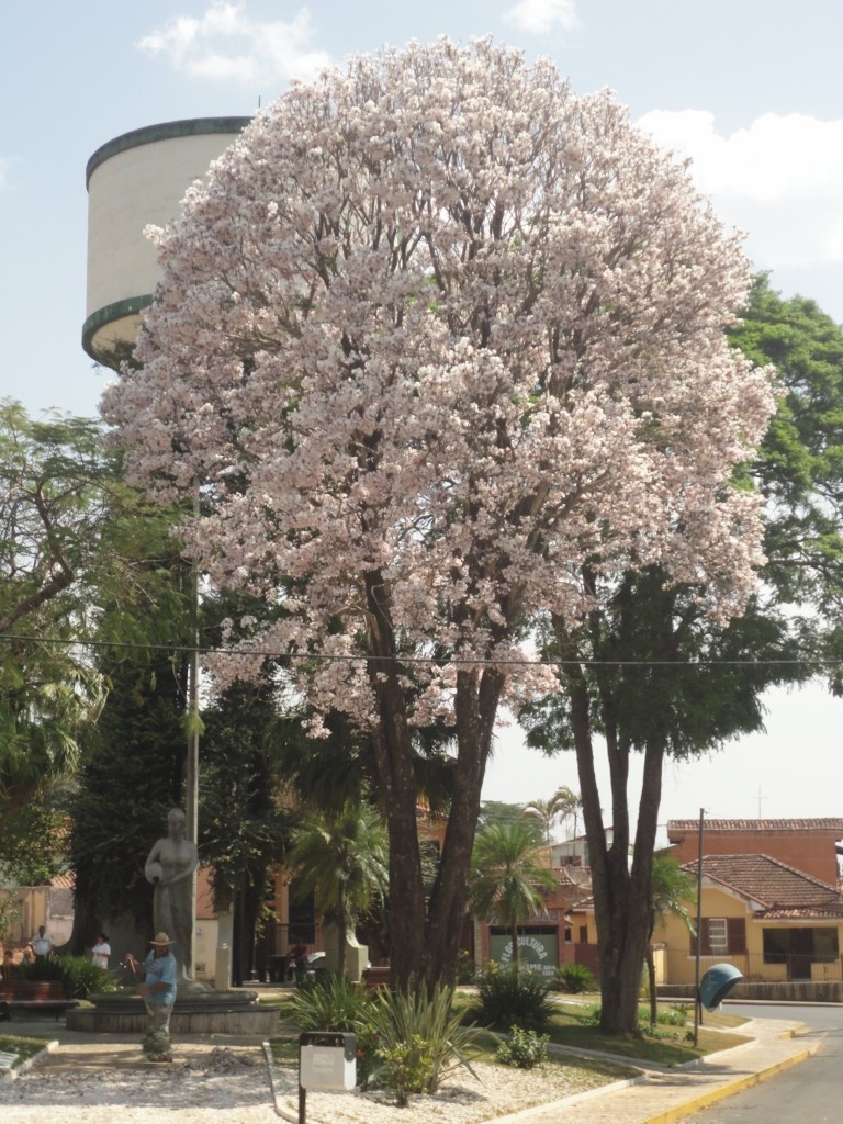 Praça da Caixa D'água 