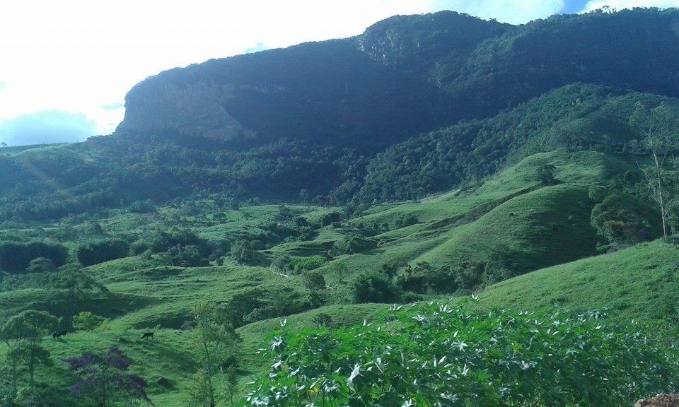 Pedreira 