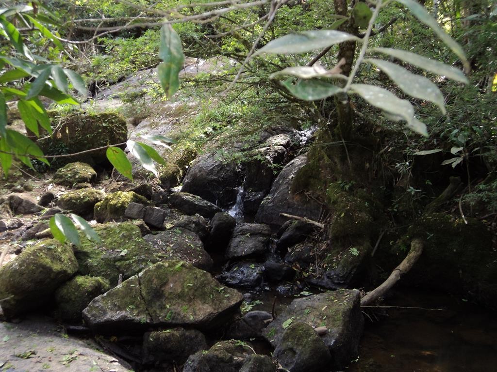 Cachoeira das Bromélias.