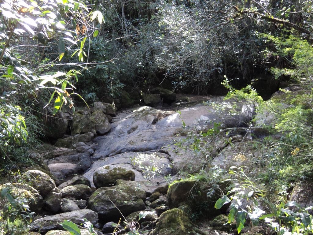 Cachoeira das Bromélias.