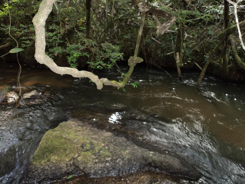 Cachoeira das Bromélias.