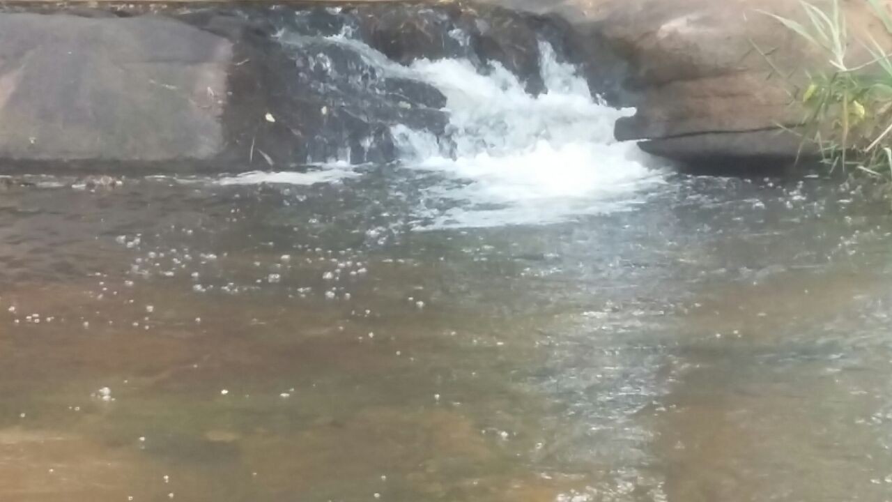 Águas da Sanega