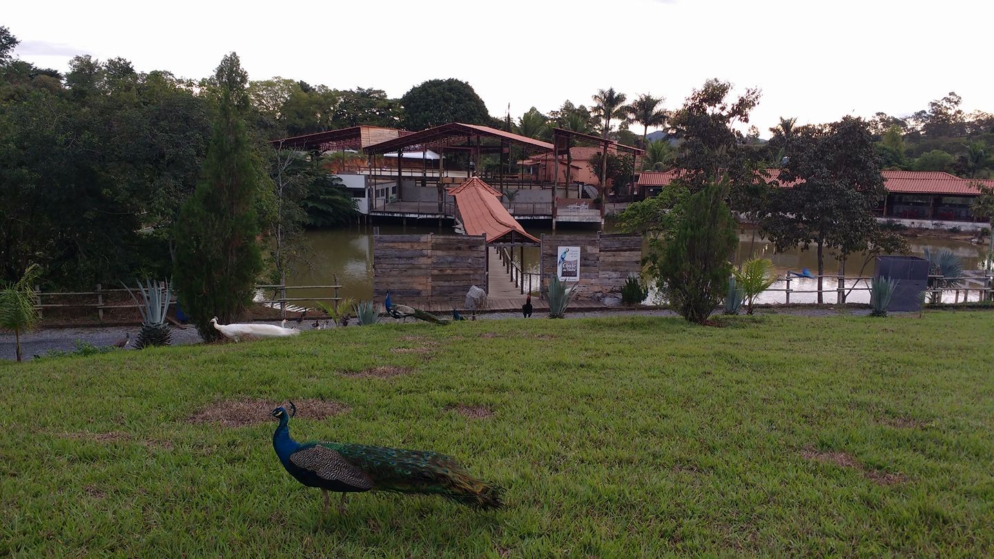 Chalé da Mata
